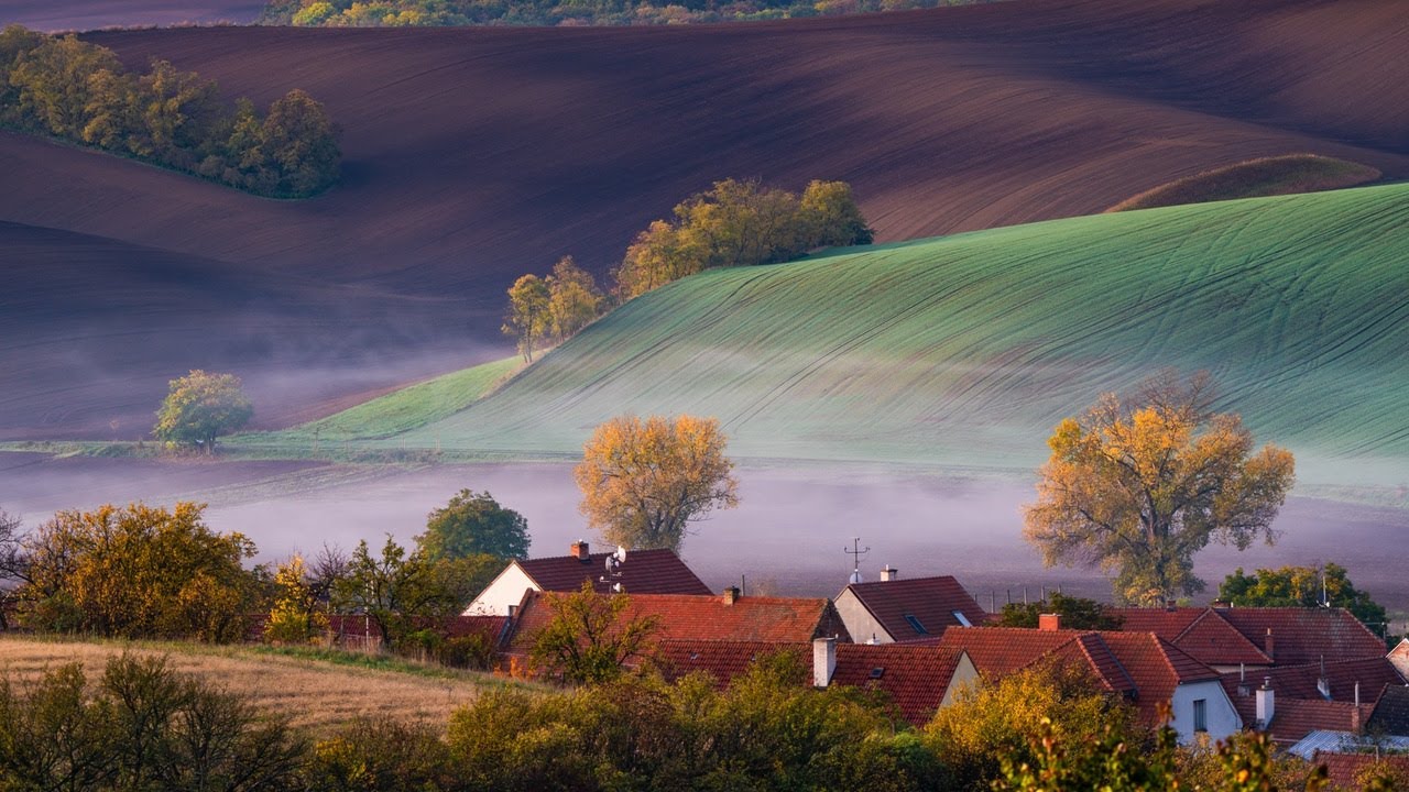 Přírodní Pozemkové Úpravy v Šardicích: Ochrana Přírody a Bezpečnost obce 🌿