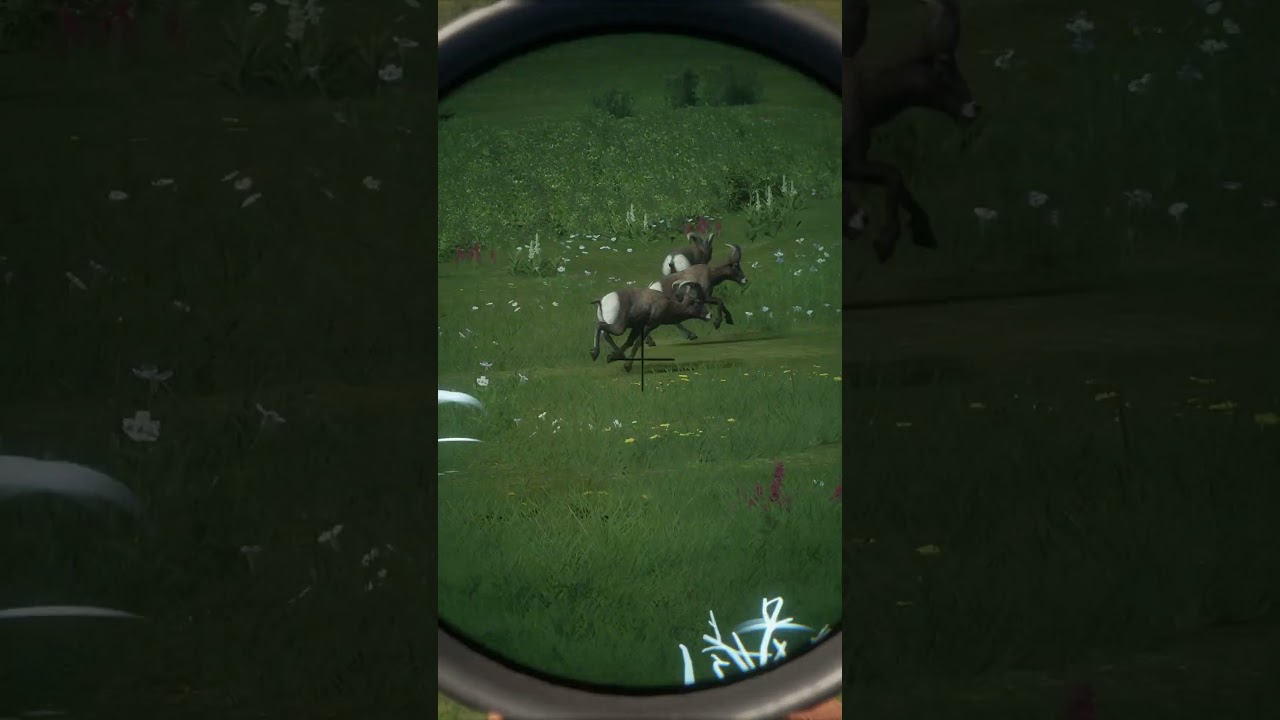 Dropping Them Fast in theHunter: Call of the Wild 🦃