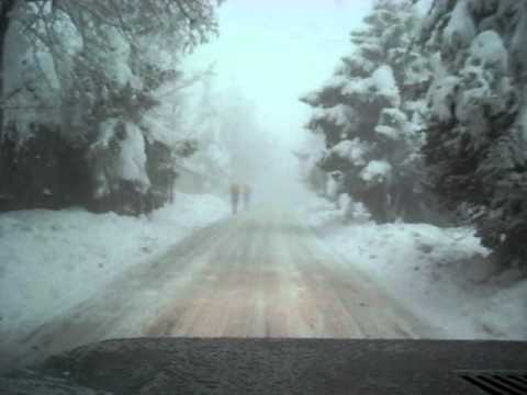 Neve a Cingoli il 22.01.2011 - Parte 2 ❄️