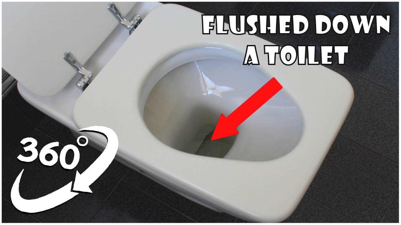 360 VR 4K Flushed Down Toilet 360 Video ๐ฝ