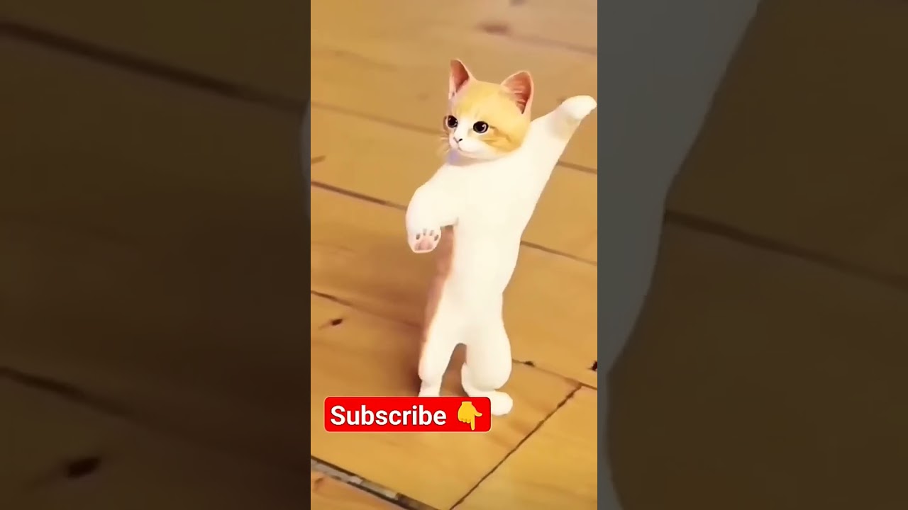 Кук Жигули Озода: Узнайте больше о знаменитой личности