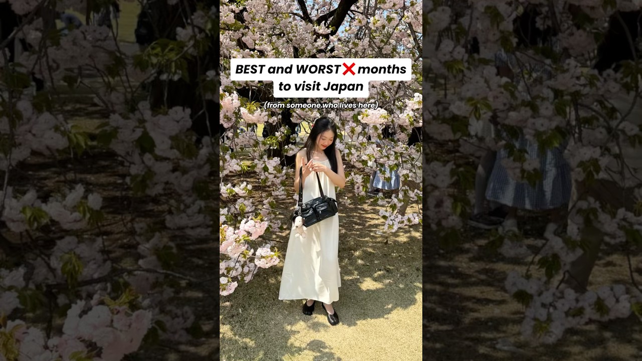 Best & Worst Months to Visit Japan π―π΅