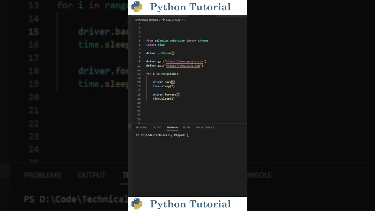 Selenium Web Navigation with Python ๐