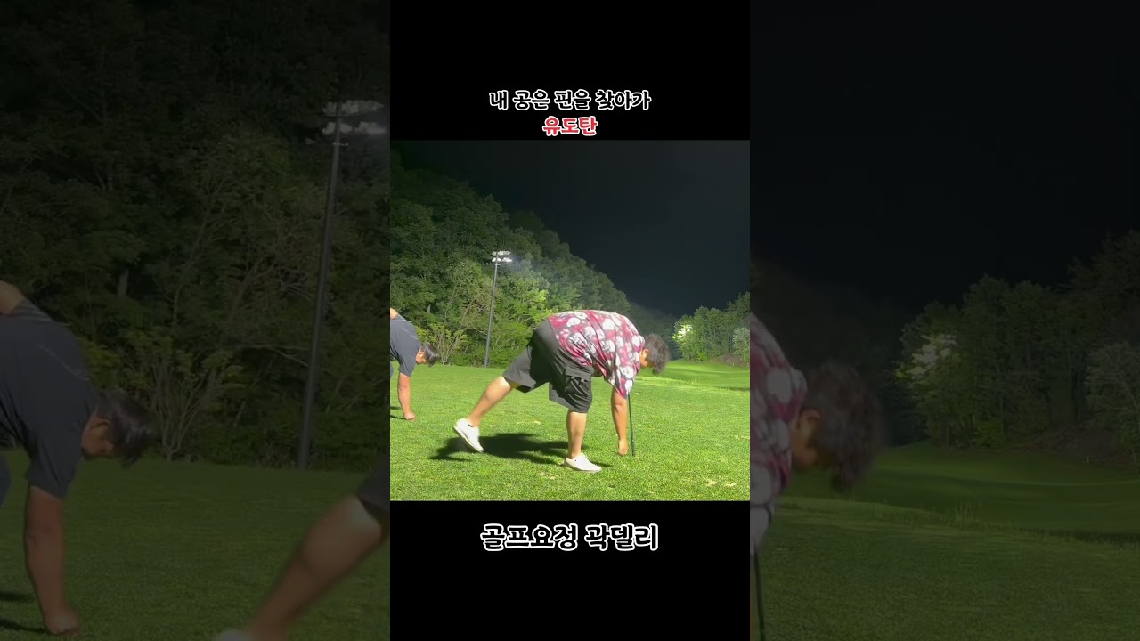 골프는 나만 믿고 쳐야한다 #golf #골프