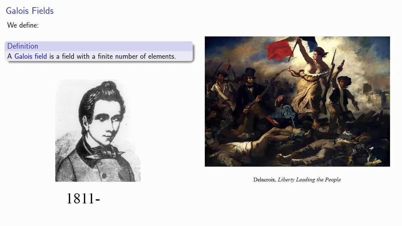 Understanding Fields: A Beginner's Guide 🌐