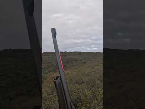 Décidément quand t’es pas bon… #hunting #boarhunting #chasse #sangliers #chasseur