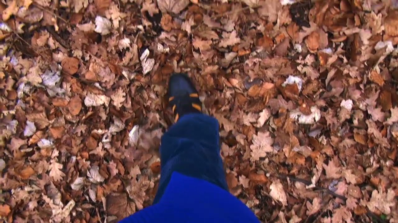 Bodem - Parkelen: Live Jazz with Malfliet, Verslype & Vanheerentals ๐ถ