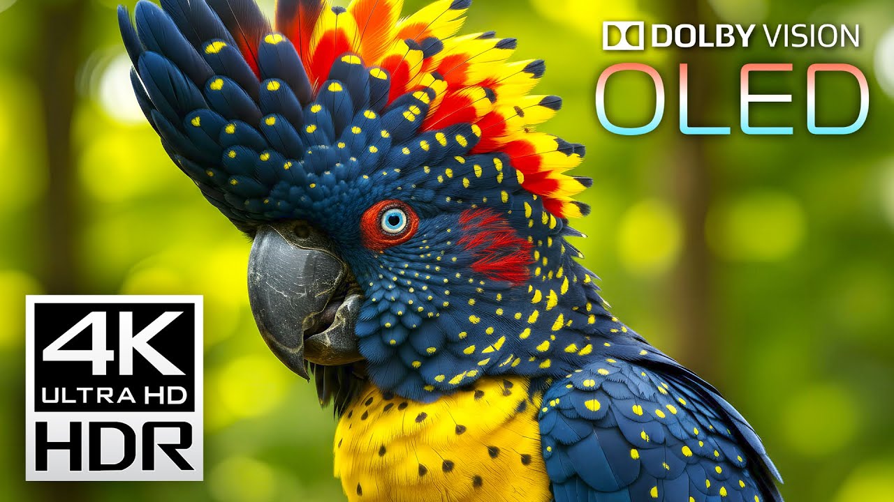 Stunning 4K Dolby Vision HDR Videos for Relaxation & Stress Relief 🎥