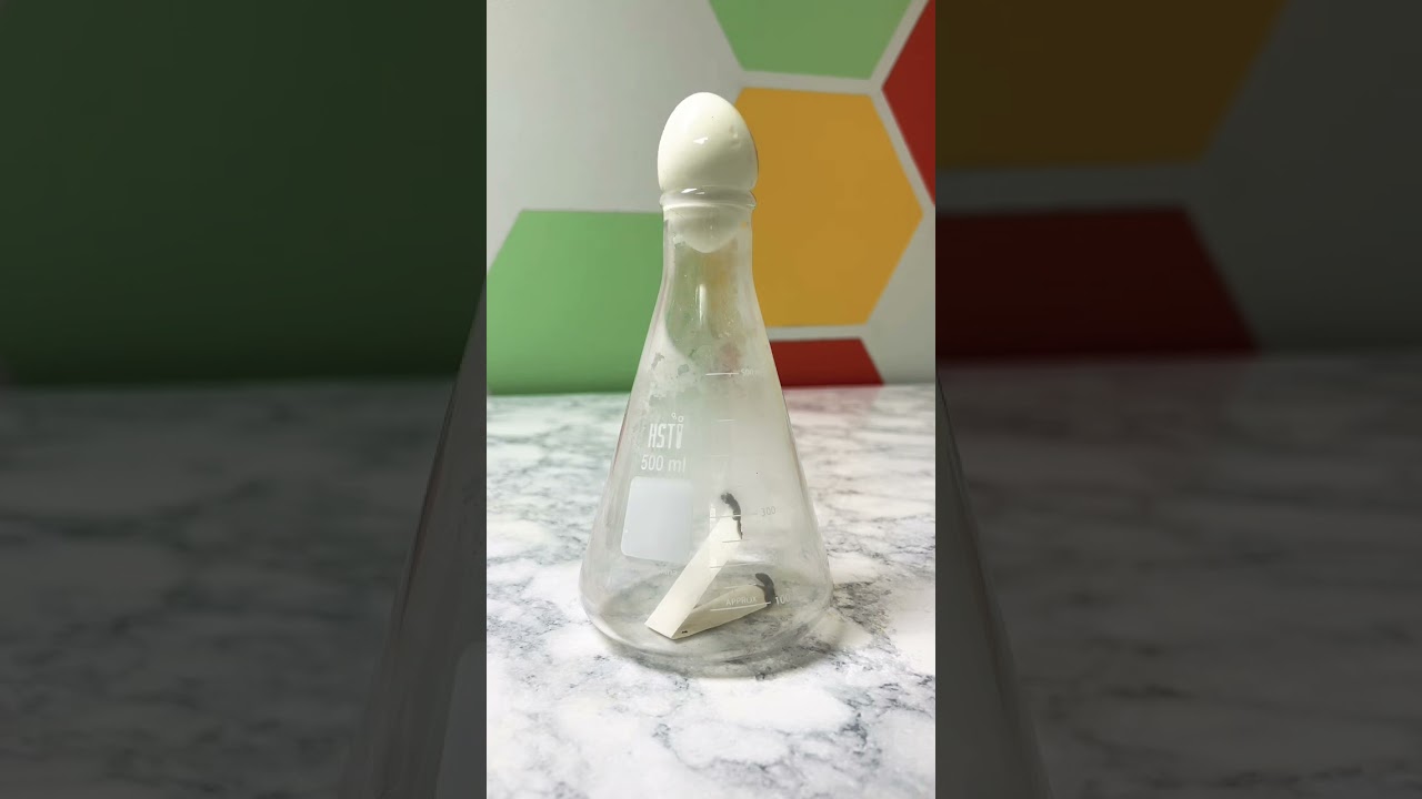 Egg in a Bottle Science Experiment 🥚