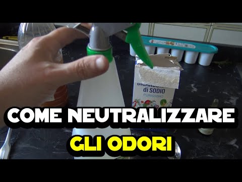 Come neutralizzare gli odori in casa o fuori con ingredienti naturali