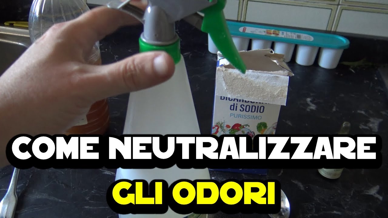 Come Eliminare Odori in Casa e All'Aperto con Ingredienti Naturali 🌿