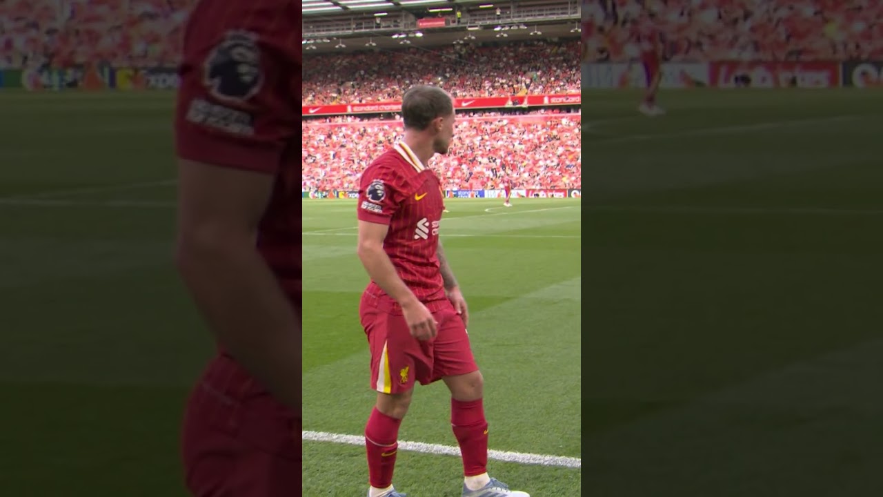 David Raya's Stunning Saves vs Liverpool | Epic Highlights 😮💨