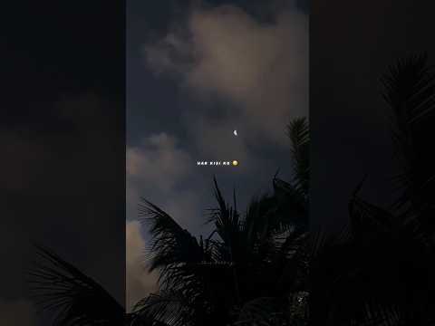 Har kisiko nahi milta yahan pyar zindagi mein 🥲❤️🩹