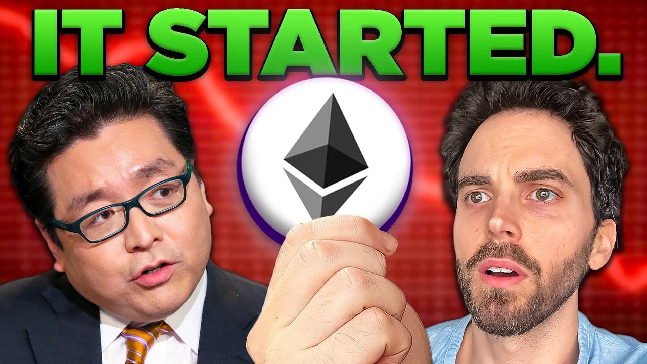 Tom Lee: Cryptocurrency Supercycle Has Started 🚀