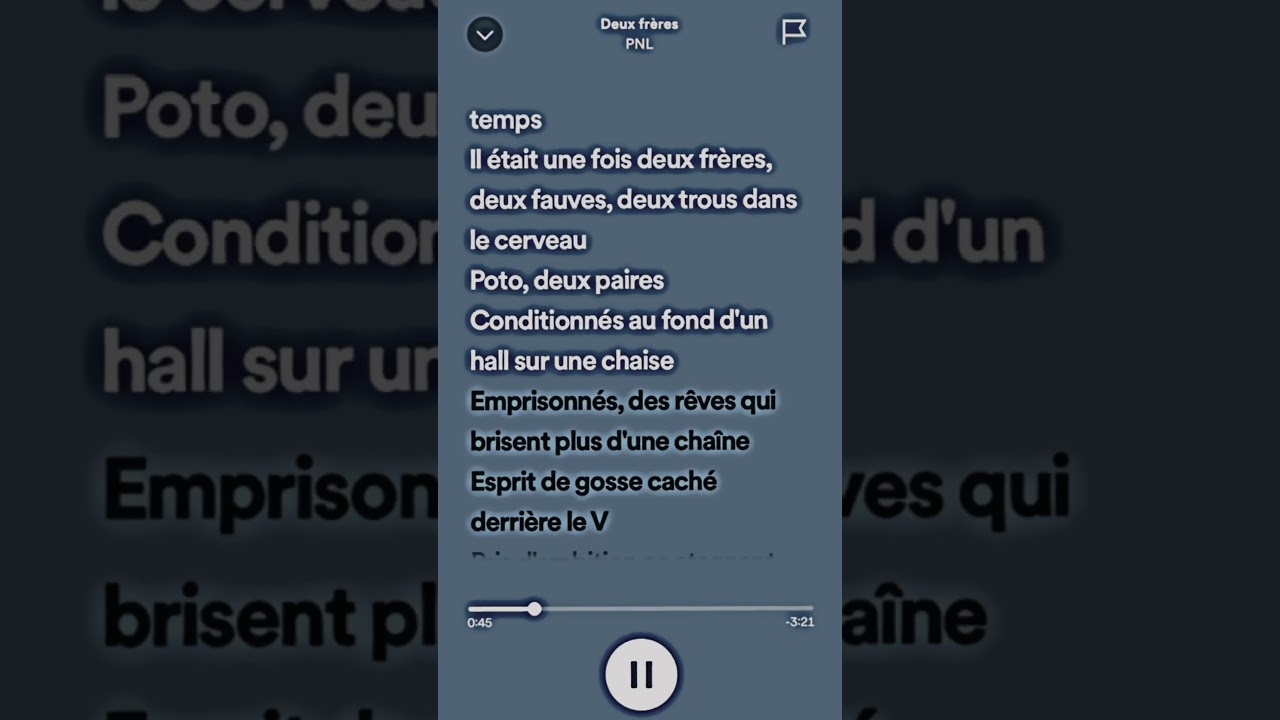 PNL - Deux Frères 🎶