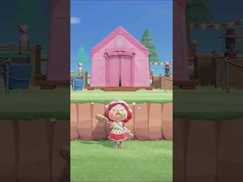 We play Animal Crossing, OF COURSE WE… PART 3! W/ @InfinitiCrossing ACNH