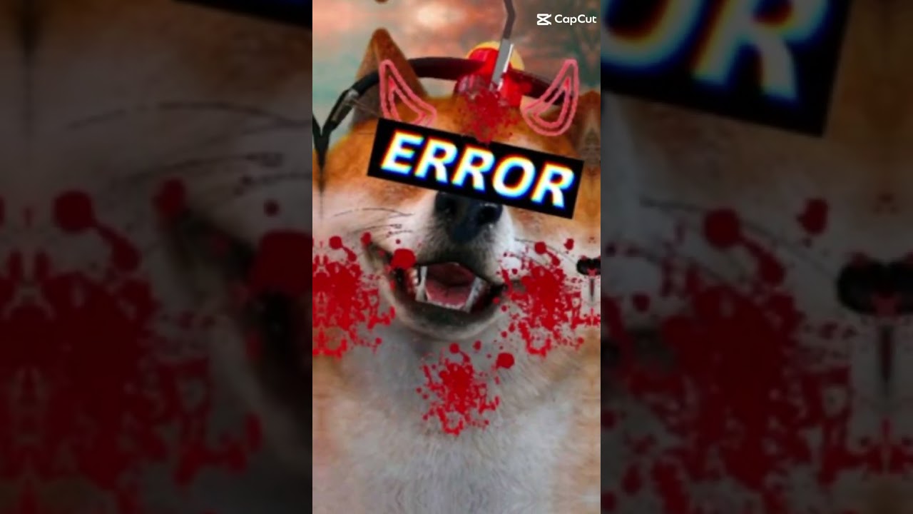 Anjing Paling Keren dan Ganteng 🐶