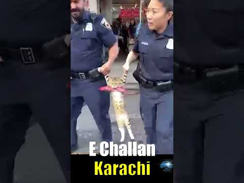E Challan Karachi