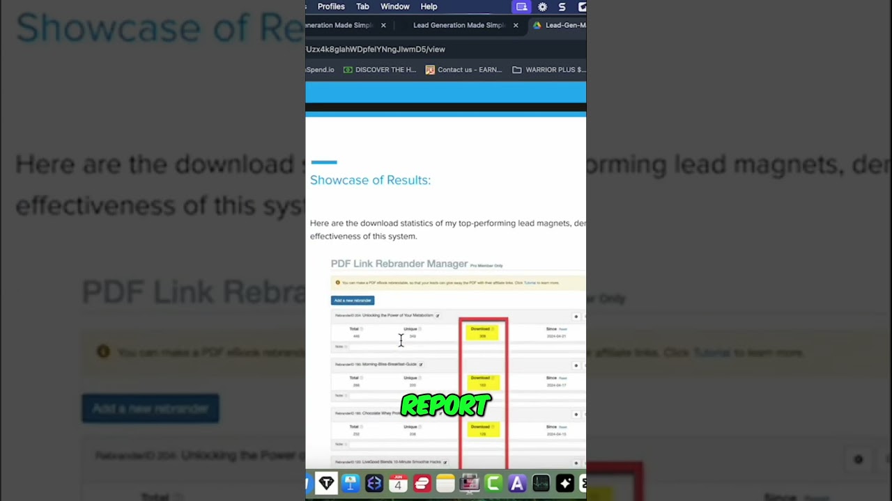 Transform Your Business with Rebrandable PDF Reports 🚀