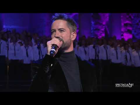 Emmanuel Moire-Pour que tu m'aimes encore [Cover Live HD]