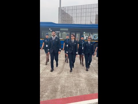 Flight Operations | In-flight Services | JustPlaneStuff | IndiGo 6E