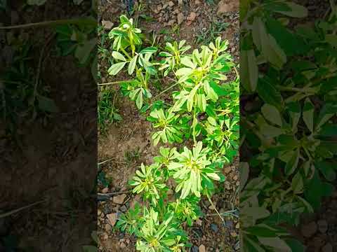 Beautiful Mathe #youtube #viral