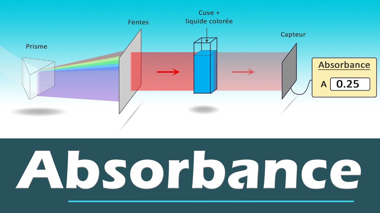 Choisir la bonne longueur d'onde en spectrophotométrie 🔬