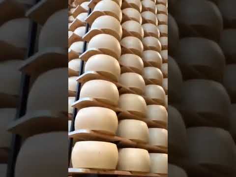 Cheese turing machine in Industries#technology #industrial #robotics #industrialelectronics