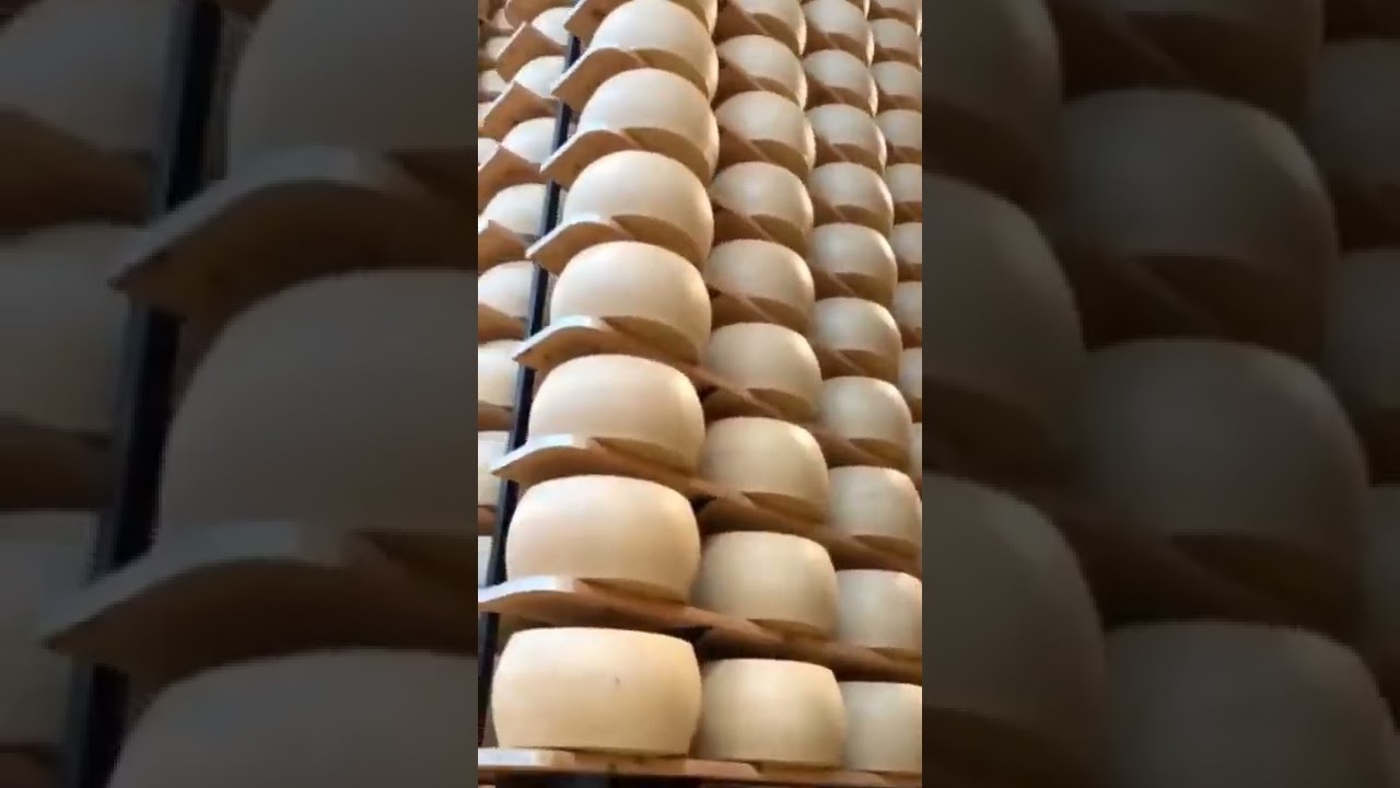 Cheese Turing Machine Applications in Industry