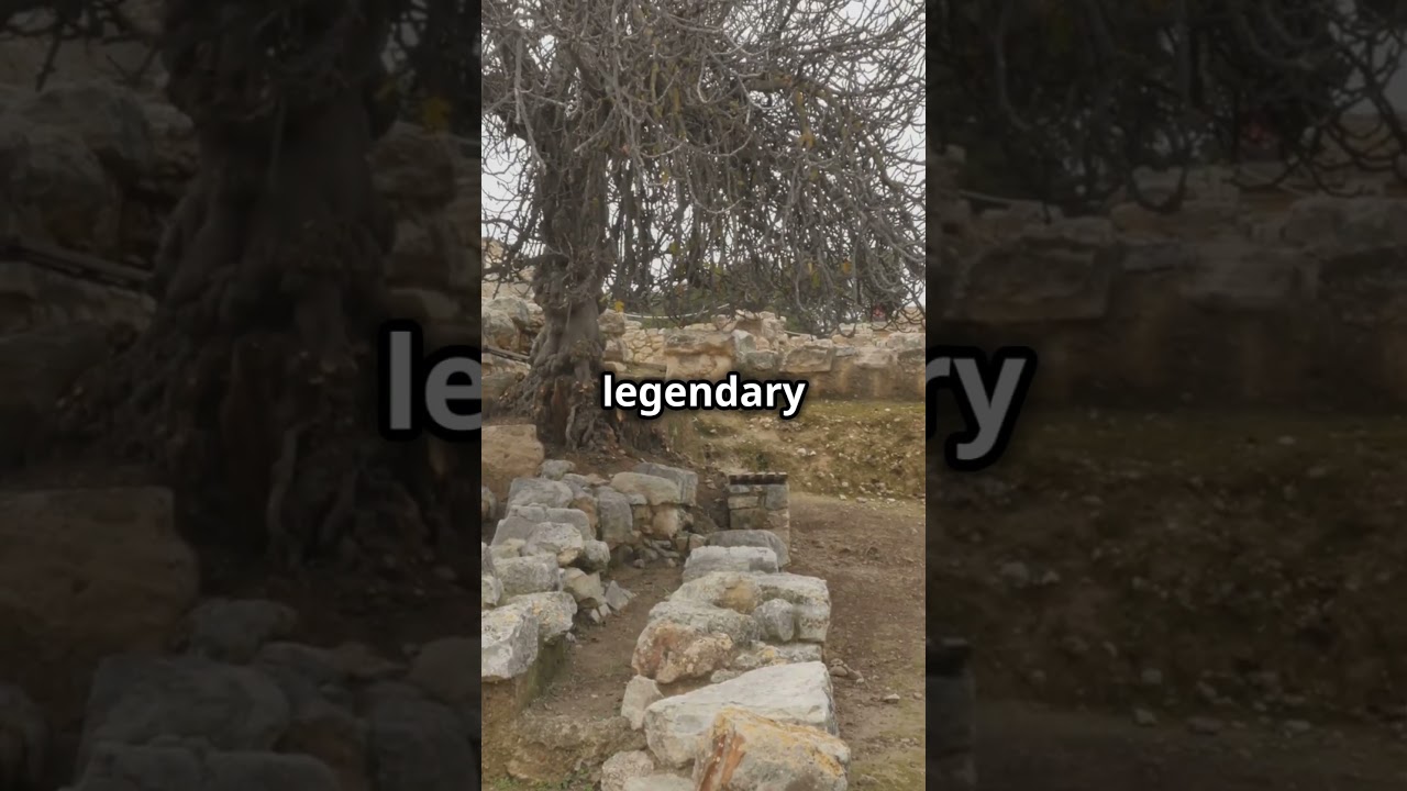 Explore the Ancient Palace of Knossos 🏺