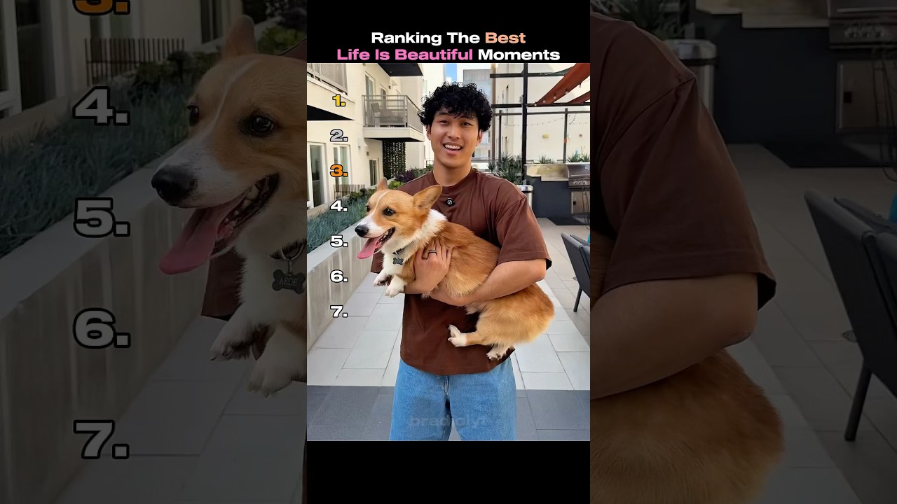 Top Life Is Beautiful Moments to Brighten Your Day ✨ #ShortsViral