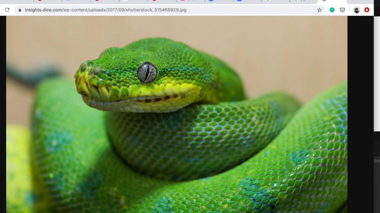 Learn How to Implement Caesar Cipher in Python 🔐