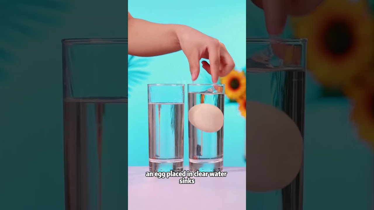 Top Life Hacks & Science Tips for Everyday 🧠