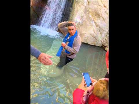 Kafon 2016 âœª Galeg