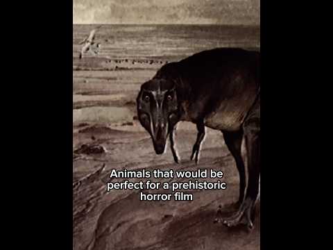 These animals should feature in a Jurassic Park horror film #dinosaur #horror #jurassicworld