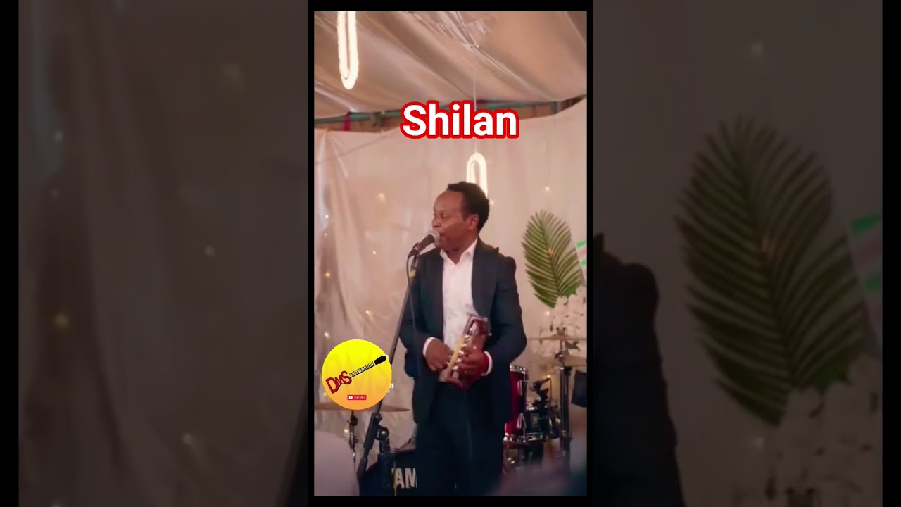 Dawit Shilan Live Performance 2025 🎶 | Tigrigna Music & New Eritrean Hits