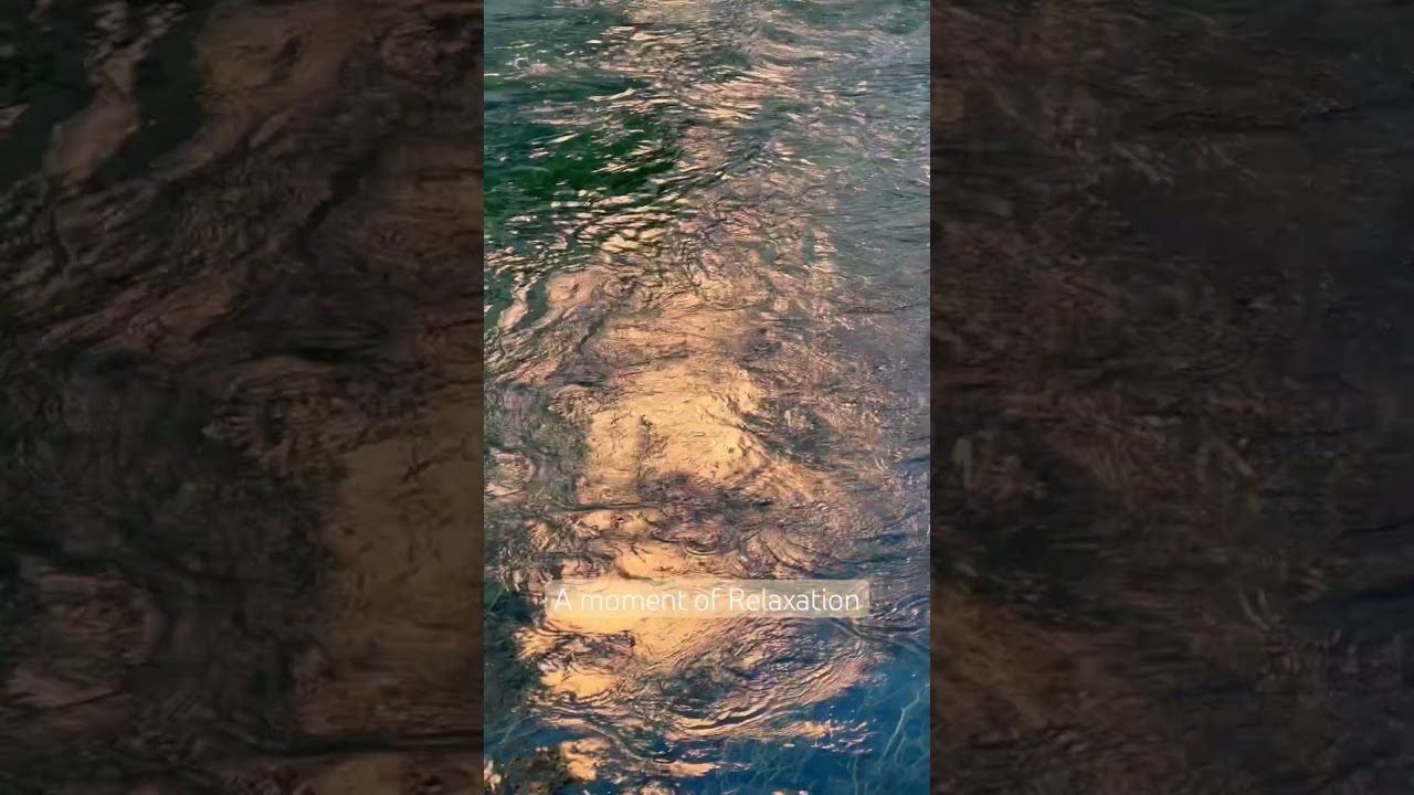 Relaxing Zen Moment in Provence 🌿