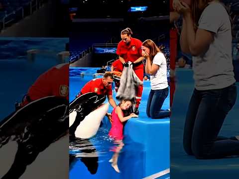 Orca Save A Girl 😭 Short Film #orca #jessica #whale #trending #shark #trend #shorts