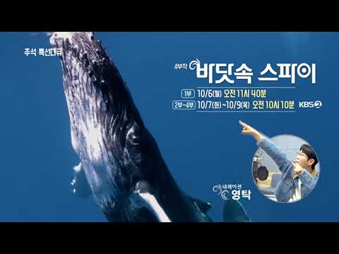 추석특선다큐: 바닷속 스파이 (1-4부) 🌊