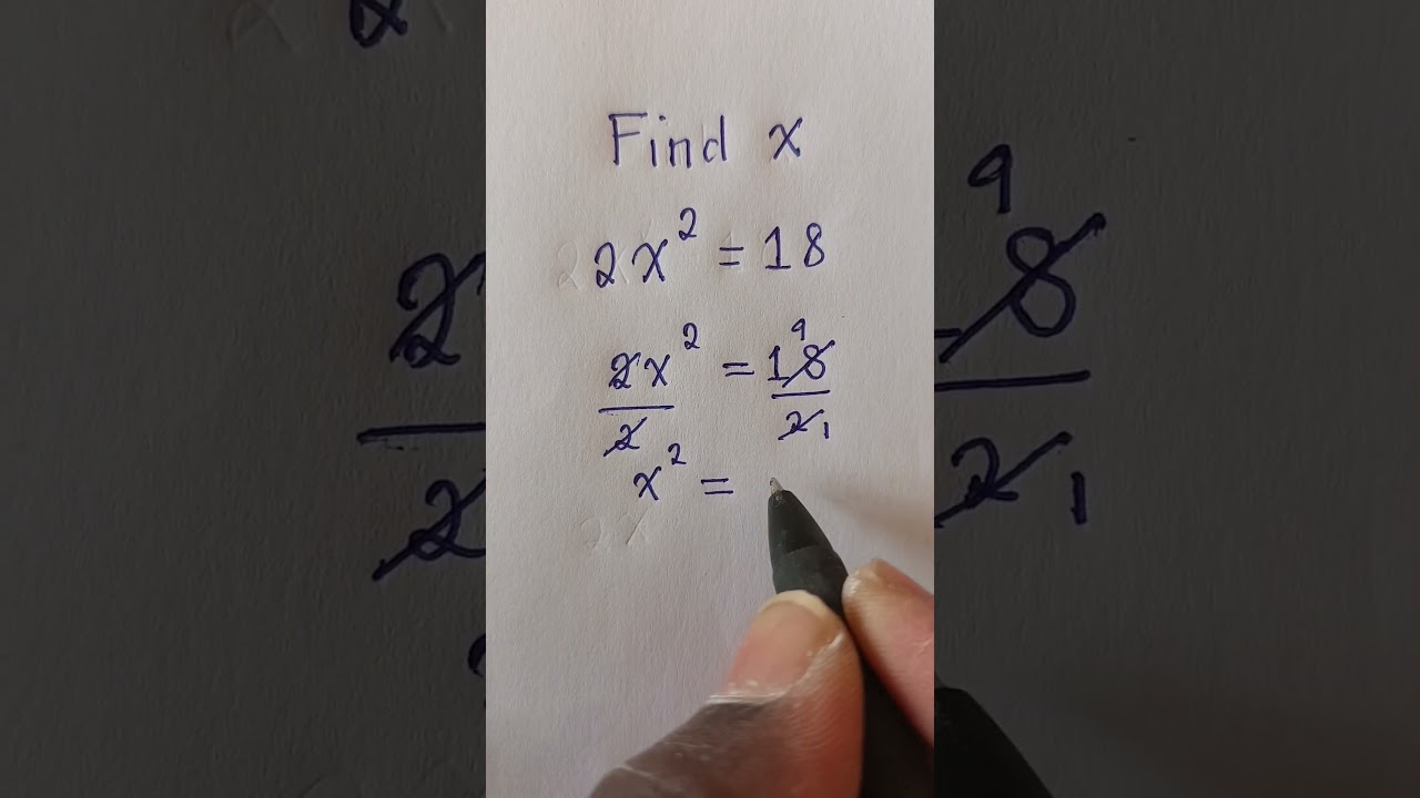 Understanding Equations: A Quick Guide