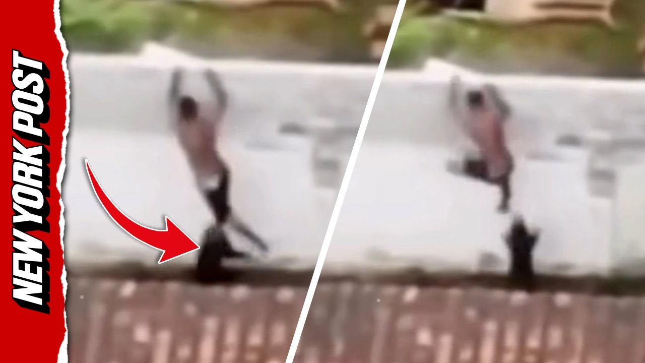 Pit Bull Takes Down Fleeing Drug Suspect After He Jumps Into Wrong Yard