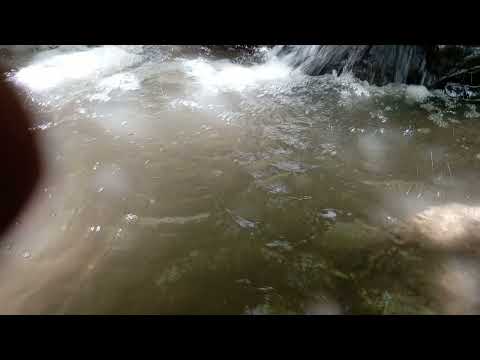 XXL XXL XXL XXL FREESTYLE 2024 💕 |XXL 2025 | Xxwd5000xa | XXL XXL XXL XXL FREESTYLES