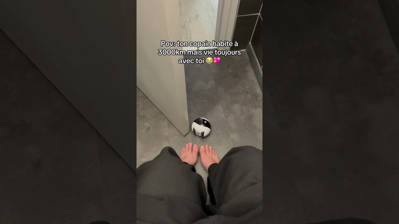 Référence du robot sur mon profil 😭