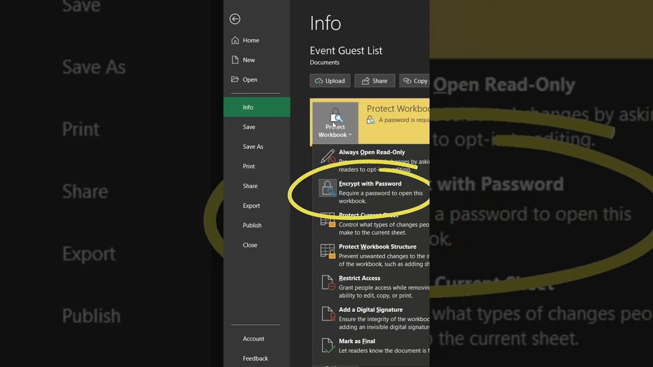 Easily Remove Password Protection from Excel Files π