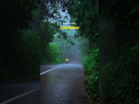 Rainy Days in Kerala #monsoon #shortsvideo