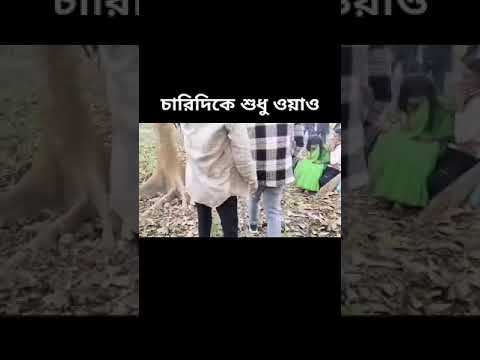 Free OYO Shorts: Sad Parati Moments 😢