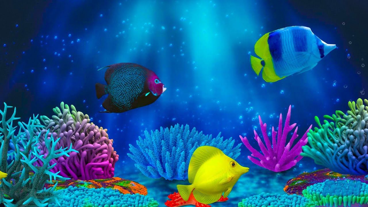 Baby Lullaby with Soothing Fish & Undersea Animation 🐟