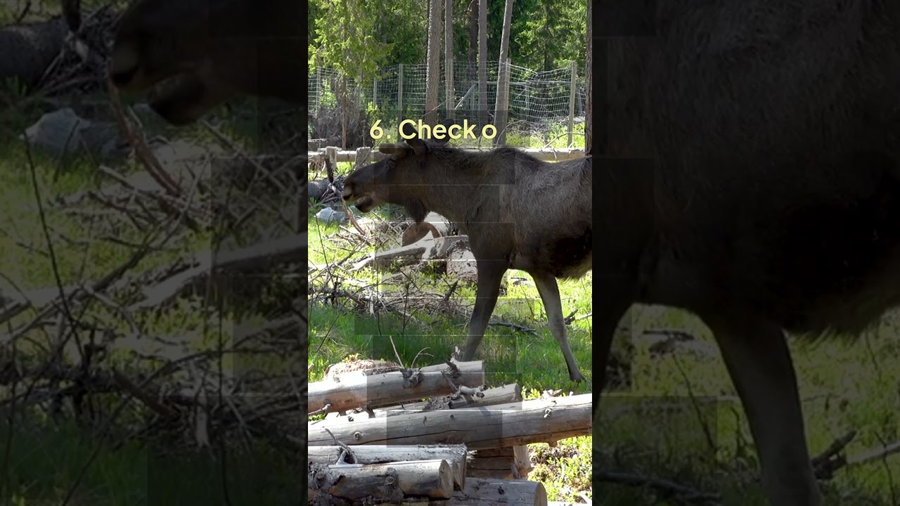 Top 10 Things to Do in Stockholm in 1 Day 🏙️