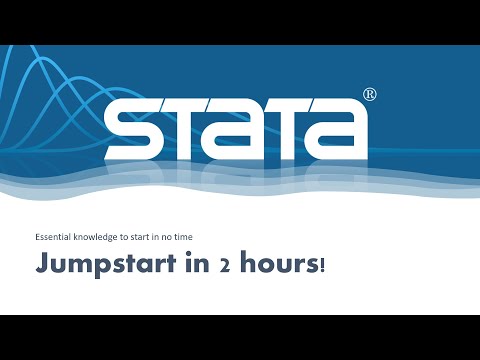 Stata: How To Use Commands Describe And Codebook