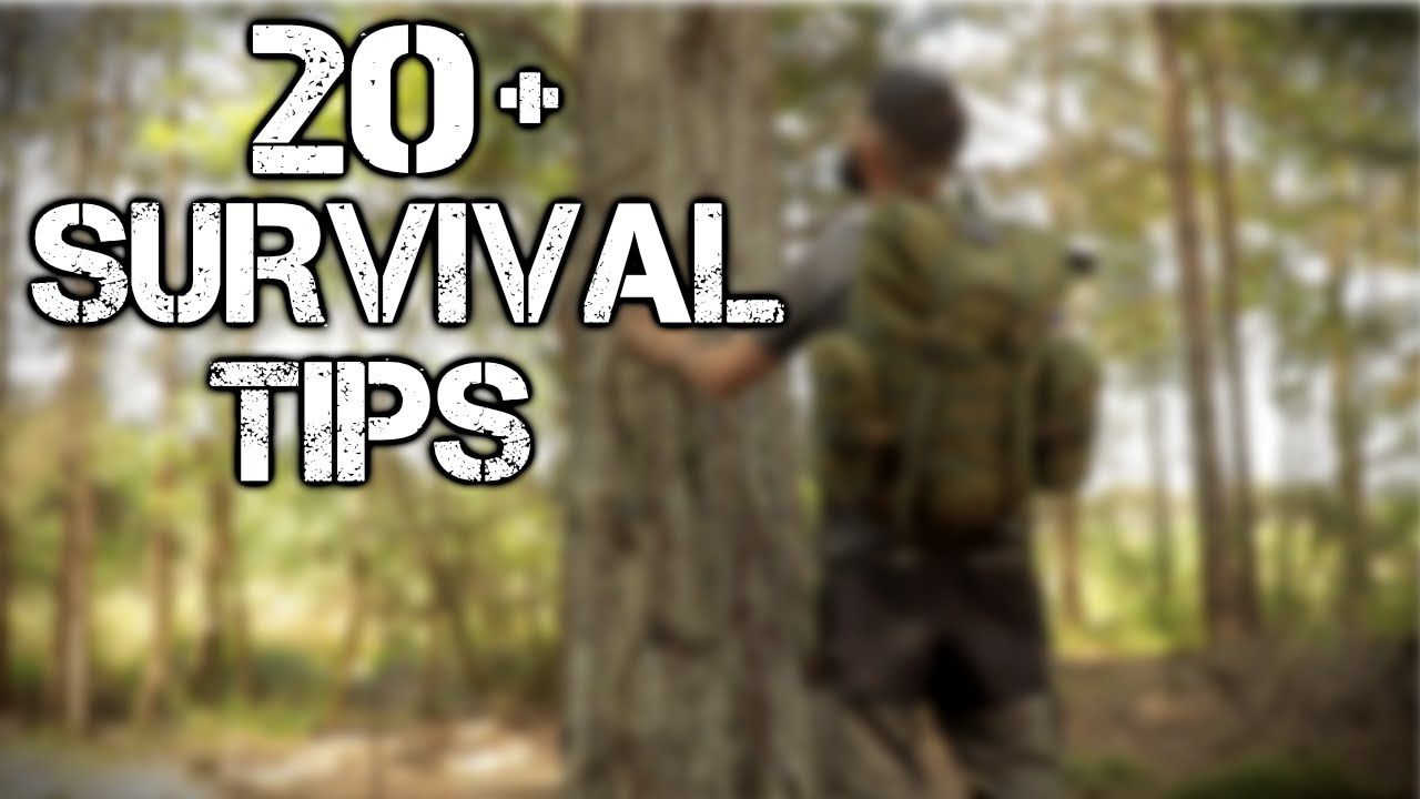 20 Master Wilderness Survival: 20 Essential Tips & Bushcraft Skills π²